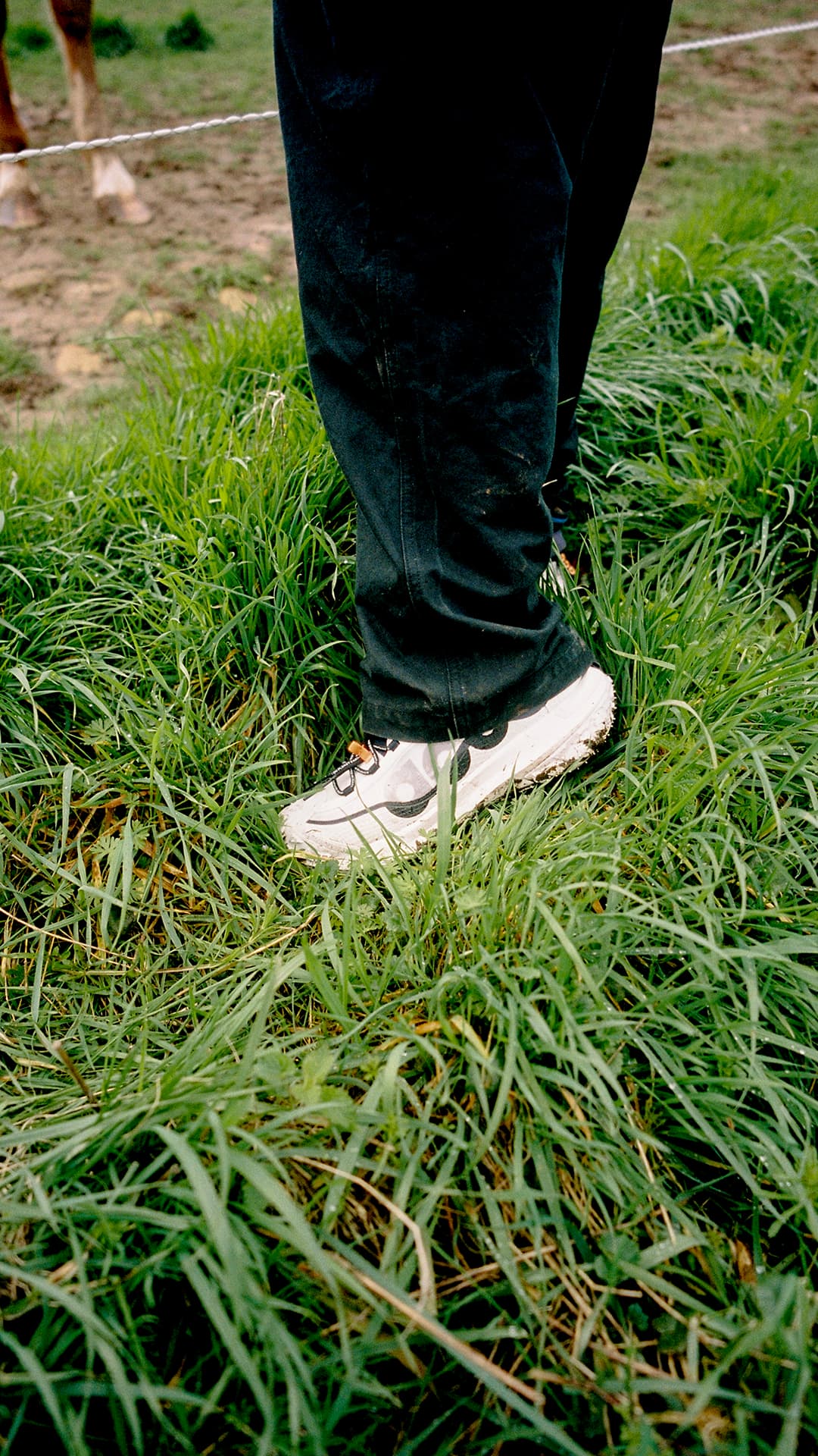 Fly by top low 2 nike